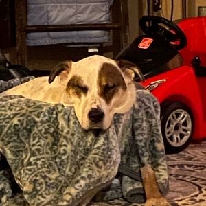 Meet your Posher, Jack